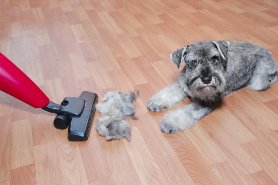 pet hair cleaning